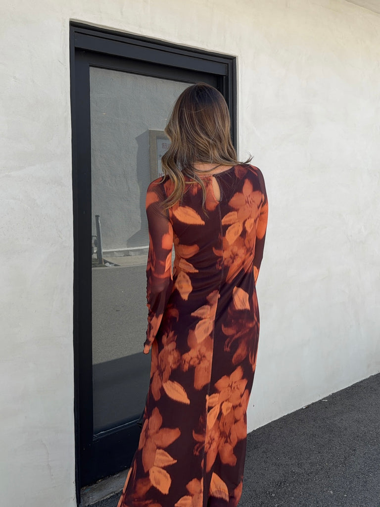 Bode Mesh Maxi Dress